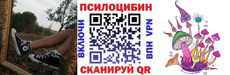 Галлюциногенные грибы Psilocybe  Курган 